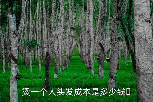 秦皇島燙頭發(fā)多少錢,燙一個人頭發(fā)成本是多少錢