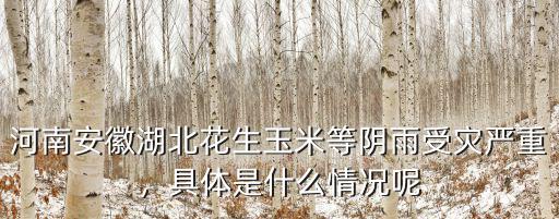 河南安徽湖北花生玉米等陰雨受災嚴重，具體是什么情況呢