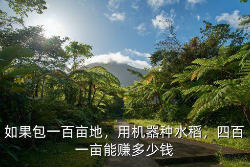 如果包一百畝地，用機器種水稻，四百一畝能賺多少錢