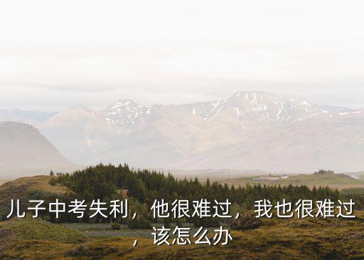 洛陽中招失利怎么辦,中考失利怎么辦