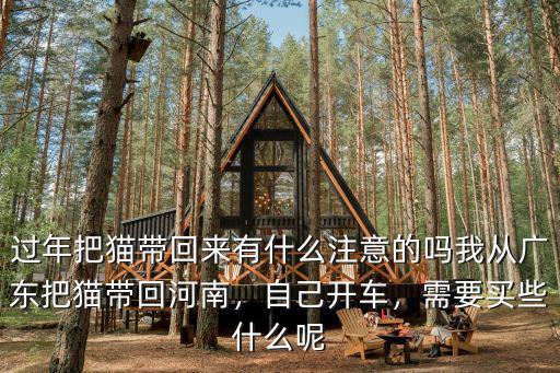 貓?jiān)趺磸膹V州帶回湖北,我從廣東把貓帶回河南