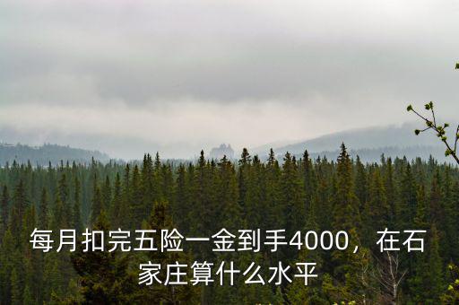 石家莊五險一金個人扣多少,在石家莊扣除五險
