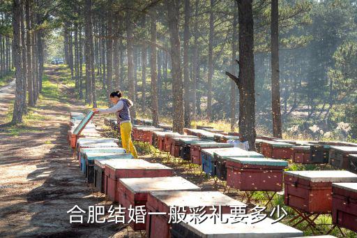 安徽南陵結(jié)婚彩禮多少,合肥結(jié)婚一般彩禮要多少