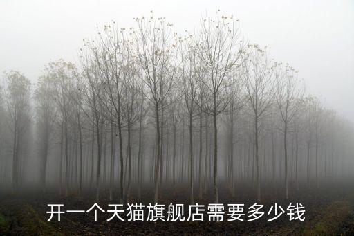 淮北國購開一個小店鋪要多少錢,開一個天貓旗艦店需要多少錢