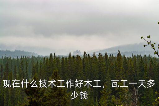 現(xiàn)在什么技術(shù)工作好木工，瓦工一天多少錢