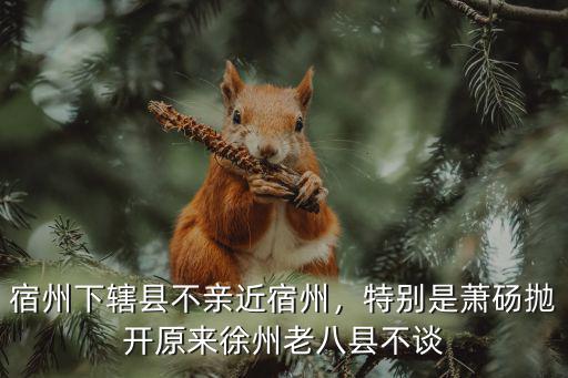 宿州下轄縣不親近宿州，特別是蕭碭拋開原來(lái)徐州老八縣不談