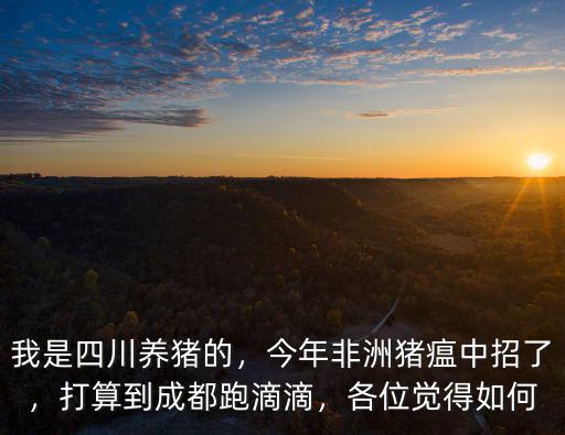 我是四川養豬的，今年非洲豬瘟中招了，打算到成都跑滴滴，各位覺得如何