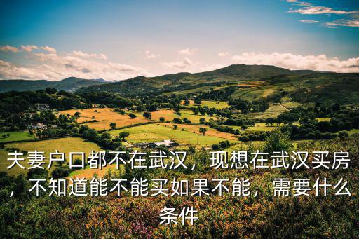 夫妻戶口都不在武漢，現(xiàn)想在武漢買房，不知道能不能買如果不能，需要什么條件