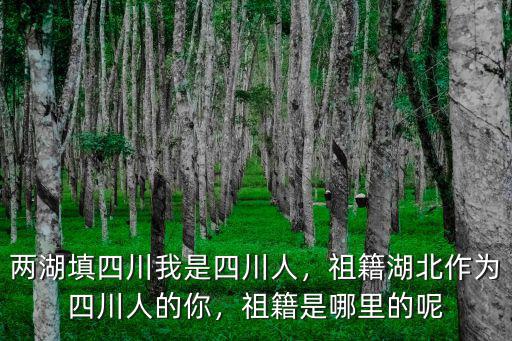 四川馬祖祖籍哪里,祖籍是哪里的呢