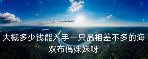 安徽布偶貓價格多少錢一只,一只布偶貓大約什么價位