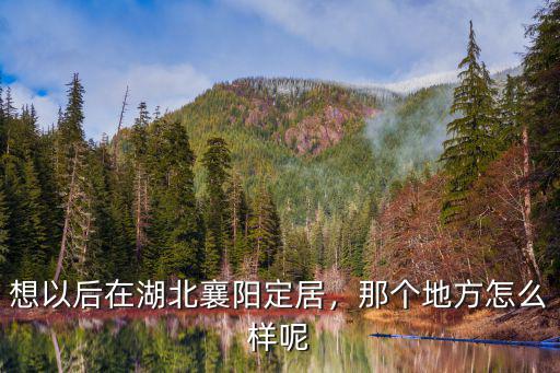 想以后在湖北襄陽定居，那個地方怎么樣呢