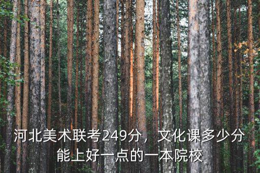 河北美術(shù)聯(lián)考249分，文化課多少分能上好一點(diǎn)的一本院校