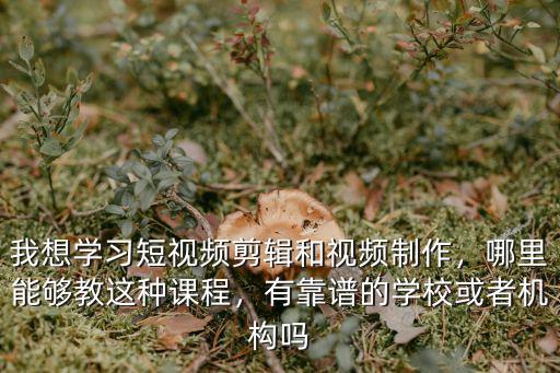 成都哪里可以學視頻剪輯制作,學習電影短視頻剪輯制作