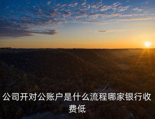 河北銀行開對公賬戶年費多少,公司開對公賬戶是什么流程