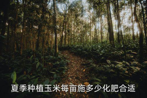 玉米畝施復(fù)合肥施多少合適,那每畝用多少肥料合適