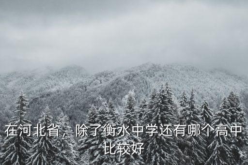 在河北省，除了衡水中學(xué)還有哪個高中比較好