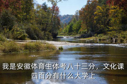 安徽體育生上大學體育考多少分,文化課四百分有什么大學上