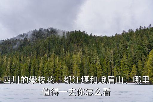 四川攀枝花哪里好看,四川的攀枝花