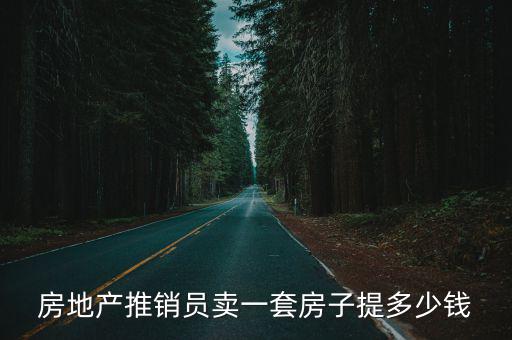 房地產(chǎn)推銷員賣一套房子提多少錢