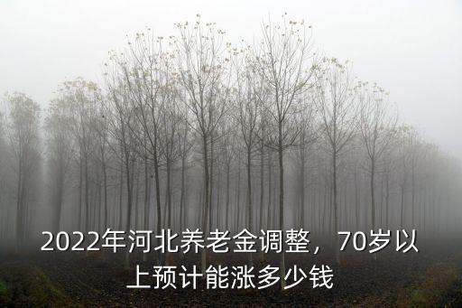 河北農(nóng)村居民養(yǎng)老金今年漲多少錢,河北養(yǎng)老金上調(diào)多少