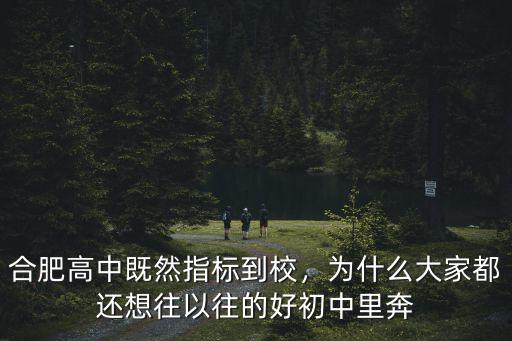 合肥高中既然指標到校，為什么大家都還想往以往的好初中里奔