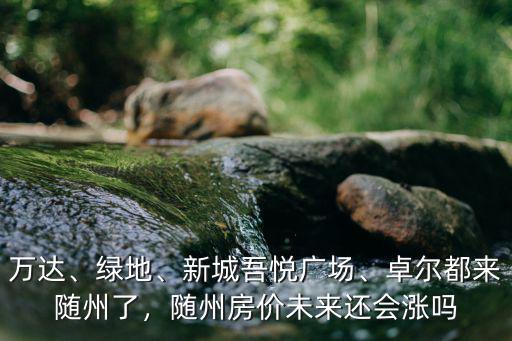 隨州建武商廣場(chǎng)怎么樣,湖北隨州怎么樣