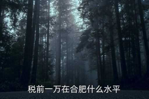 稅前一萬在合肥什么水平