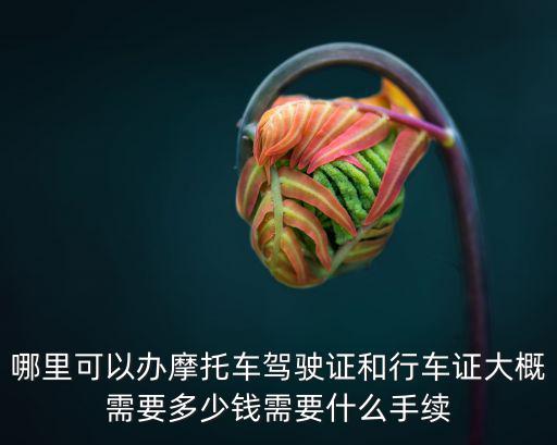 哪里可以辦摩托車駕駛證和行車證大概需要多少錢需要什么手續(xù)