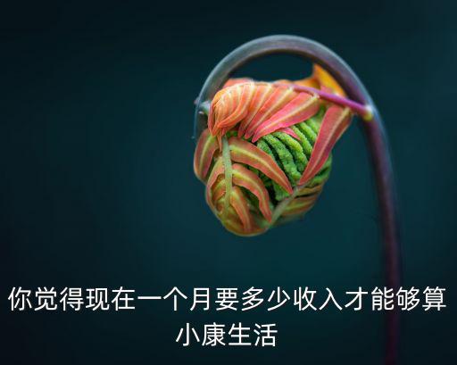 你覺得現在一個月要多少收入才能夠算小康生活