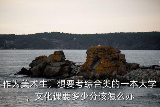 河北美術生文化課多少分能上一本,河北美術聯考249分
