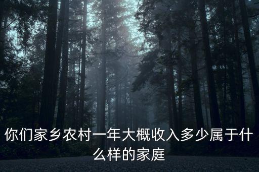 你們家鄉農村一年大概收入多少屬于什么樣的家庭