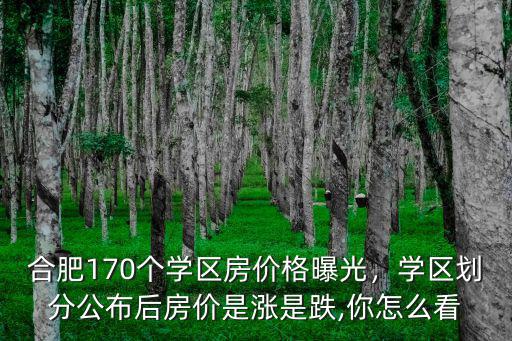 合肥市學(xué)區(qū)公寓房價多少錢,學(xué)區(qū)劃分公布后房價是漲是跌