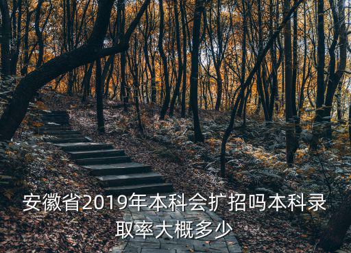 安徽2018本科線大概多少,本科錄取率大概多少