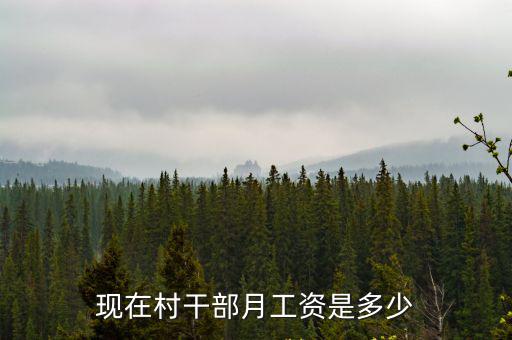 保定博野村干部工資是多少,現在村干部月工資是多少