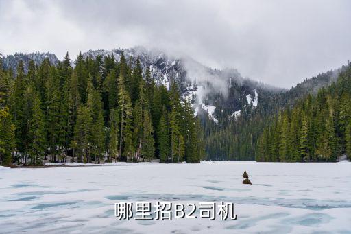 濮陽哪里招聘b2司機,哪里招B2司機