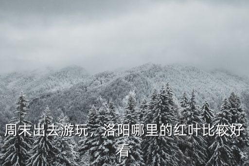 周末出去游玩，洛陽哪里的紅葉比較好看