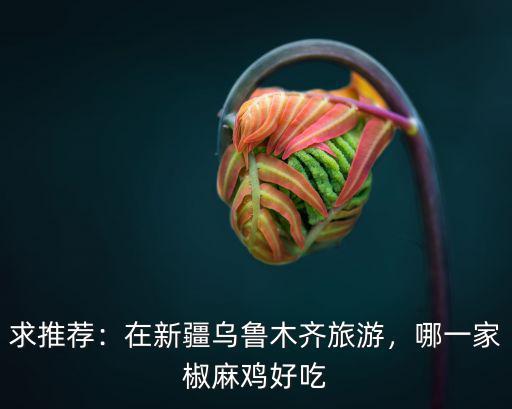 求推薦：在新疆烏魯木齊旅游，哪一家椒麻雞好吃