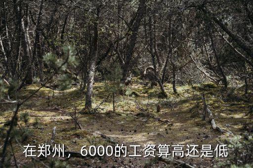 鄭州工資6000社保交多少年,交完五險一金還能發多少工資