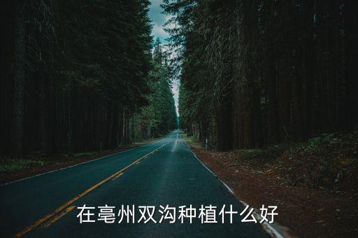 藏紅花亳州雙溝鎮(zhèn)種植多少畝,安徽亳州可以種植藏紅花嗎