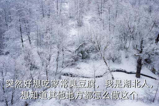 突然好想吃家常臭豆腐，我是湖北人，想知道其他地方都怎么做這個
