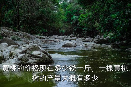 唐山黃桃價(jià)格多少錢一斤,黃桃的價(jià)格現(xiàn)在多少錢一斤