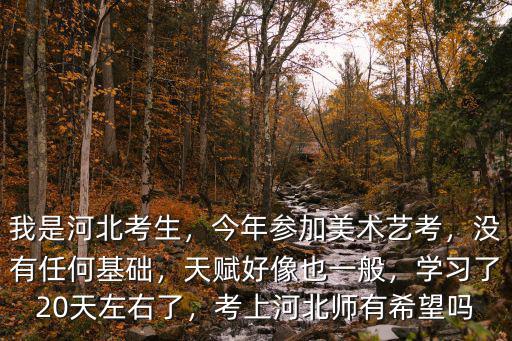 我是河北考生，今年參加美術藝考，沒有任何基礎，天賦好像也一般，學習了20天左右了，考上河北師有希望嗎