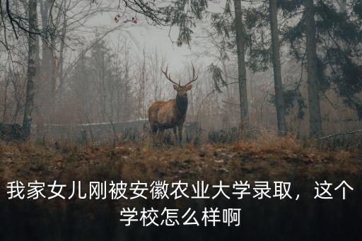 我家女兒剛被安徽農(nóng)業(yè)大學(xué)錄取，這個(gè)學(xué)校怎么樣啊