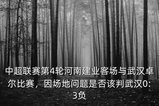 中超聯賽第4輪河南建業客場與武漢卓爾比賽，因場地問題是否該判武漢0:3負
