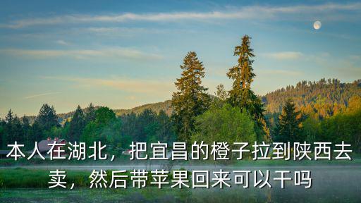 本人在湖北，把宜昌的橙子拉到陜西去賣，然后帶蘋果回來可以干嗎