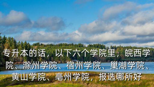 專升本的話，以下六個學院里，皖西學院、滁州學院、宿州學院、巢湖學院、黃山學院、亳州學院，報選哪所好