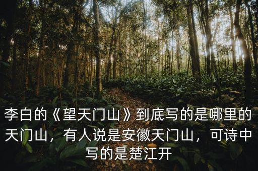多少詩是寫安徽的,可詩中寫的是楚江開