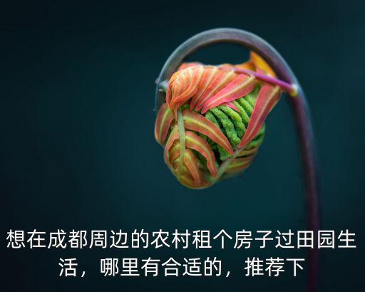 想在成都周邊的農村租個房子過田園生活，哪里有合適的，推薦下