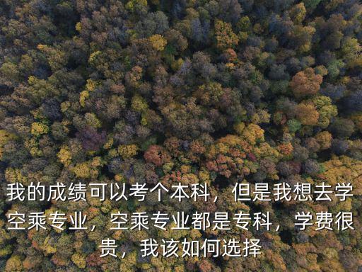 南陽(yáng)空乘服務(wù)專業(yè)學(xué)費(fèi)多少,空乘專業(yè)都是專科