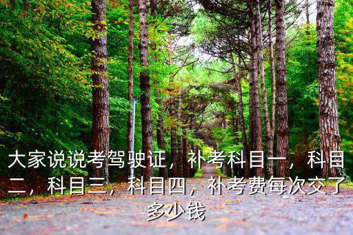 大家說說考駕駛證，補考科目一，科目二，科目三，科目四，補考費每次交了多少錢